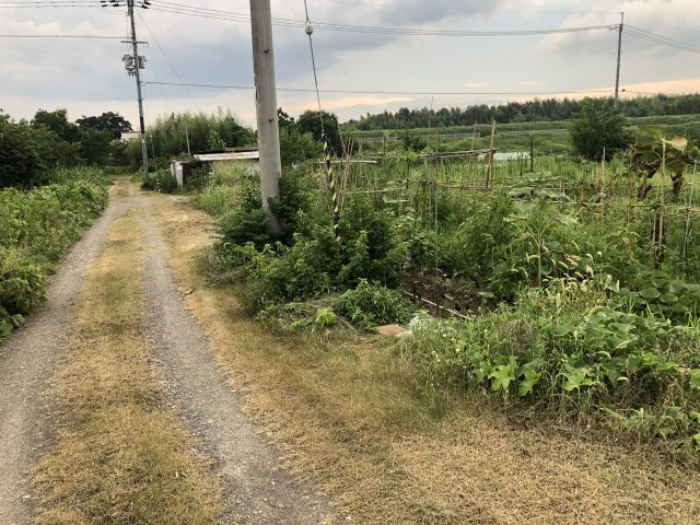 京田辺市薪西浜　売り土地