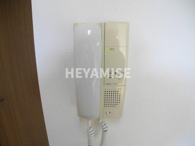 リバレインヒルズ城見のセキュリティ|※室内画像は別号室のもの