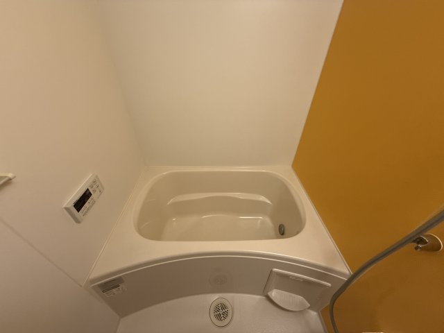 ピエデルモンテⅢの浴室