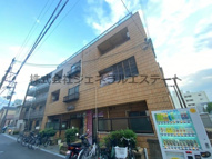 三匹のKOBUTAの画像