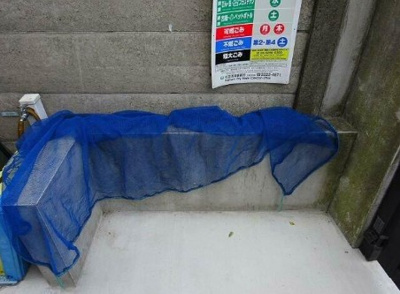 【その他】 | ノイエ浜田山