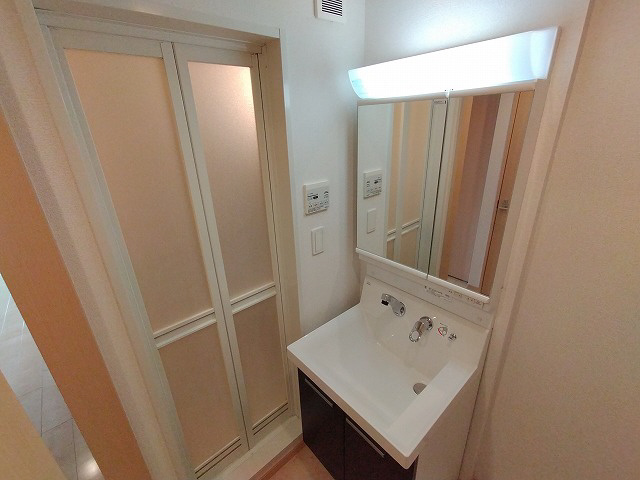 神戸市長田区大橋町８丁目の賃貸マンションの洗面所|シャンプードレッサー