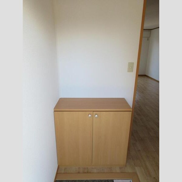 アメニティハイツⅡの玄関