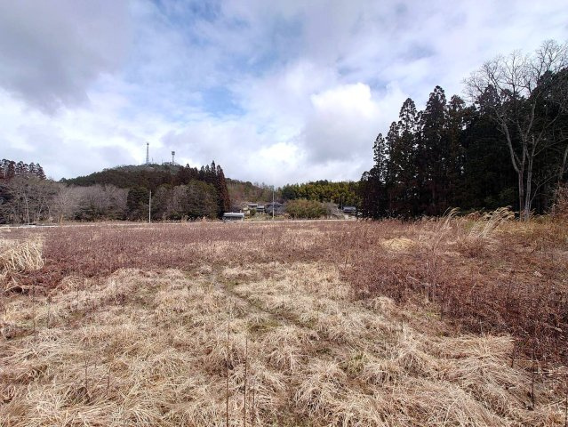 ◆緑豊かな環境◆現況更地の売土地◆敷地超広めの約580坪◆陽当たり・通風良好◆京丹波町曽根由リの外観|現地(２０２５年３月撮影)
現況：更地