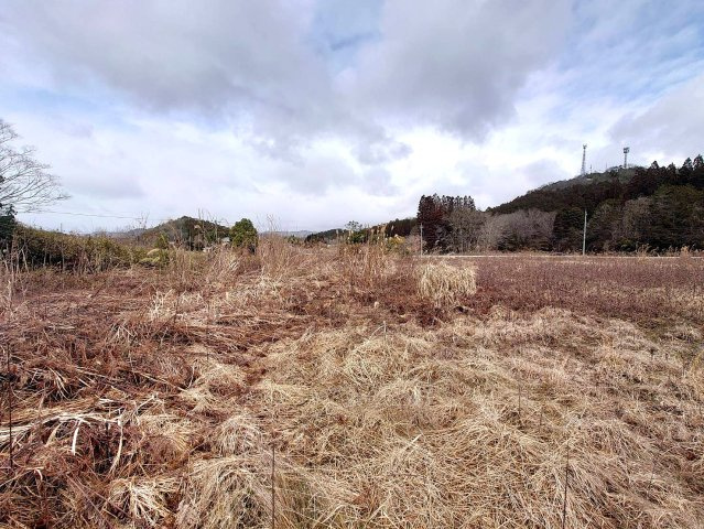 ◆緑豊かな環境◆現況更地の売土地◆敷地超広めの約580坪◆陽当たり・通風良好◆京丹波町曽根由リの外観|現地(２０２５年３月撮影)
現況：更地