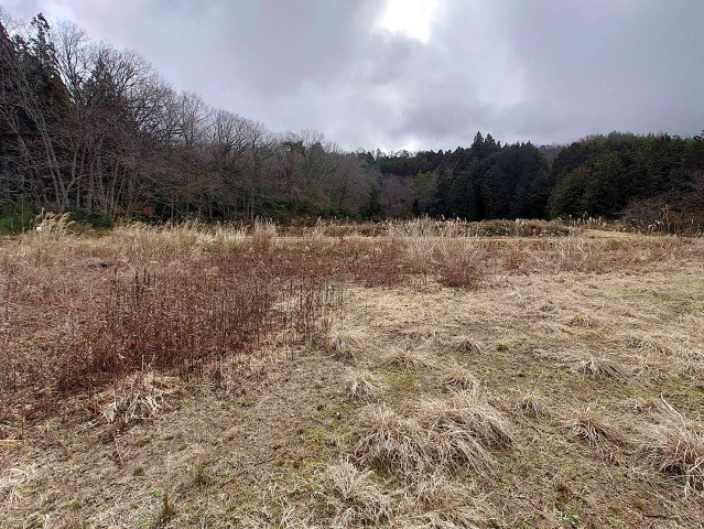 ◆緑豊かな環境◆現況更地の売土地◆敷地超広めの約580坪◆陽当たり・通風良好◆京丹波町曽根由リの外観|現地(２０２５年３月撮影)
現況：更地