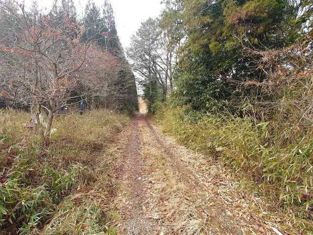 ◆緑豊かな環境◆現況更地の売土地◆敷地超広めの約580坪◆陽当たり・通風良好◆京丹波町曽根由リの外観|現地(２０２５年３月撮影)
現況：更地