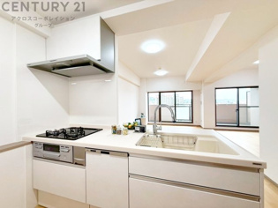 シンプルなデザインと使いやすさを兼ね備えた対面式システムキッチンは、効率的な作業スペースを提供し、家族やゲストとのコミュニケーションを促進します。