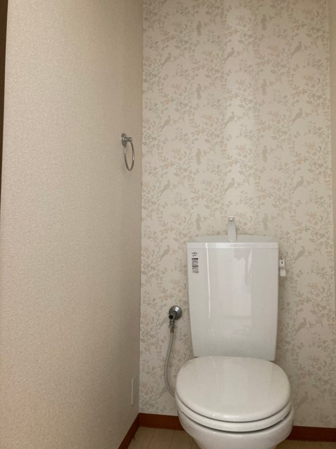 ヒラノマンションのトイレ