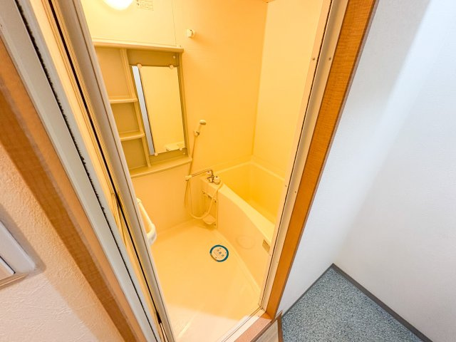 Mヴィレッヂ寺田町 の浴室