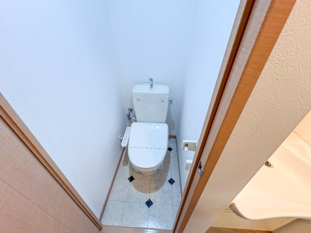 Mヴィレッヂ寺田町 のトイレ