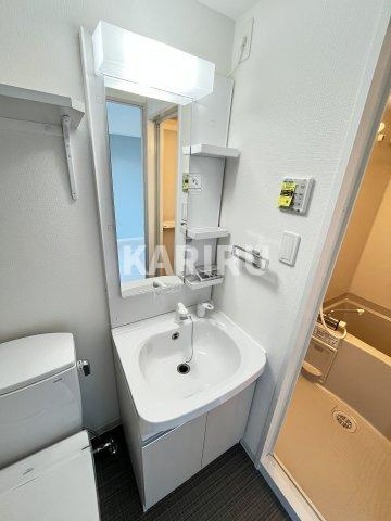 エグゼ大阪城イーストの洗面所