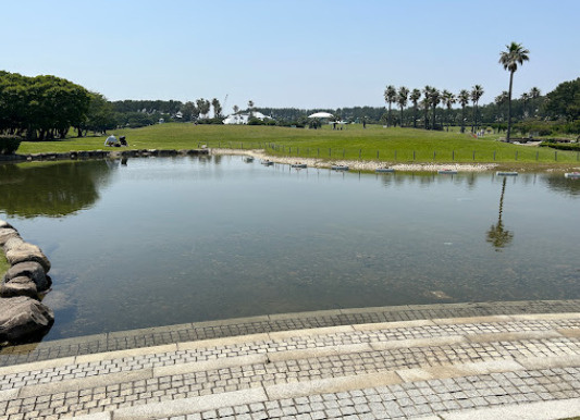 California Beach Style In辻堂の周辺|県立辻堂海浜公園