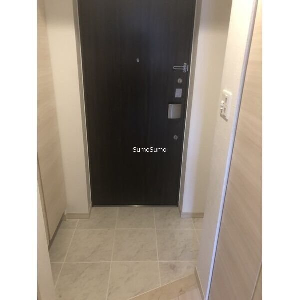 グランカーサ難波元町の玄関