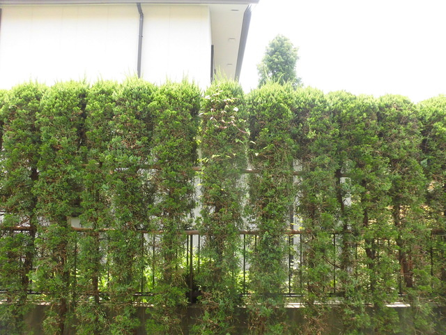 メゾンなかの展望|景色