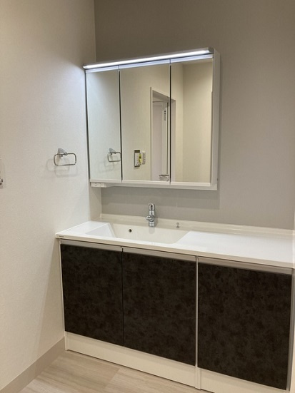 中央区新川１丁目の賃貸マンションのその他|洗面