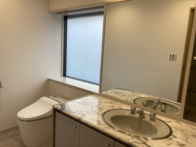 中央区新川１丁目の賃貸マンションのその他|トイレ