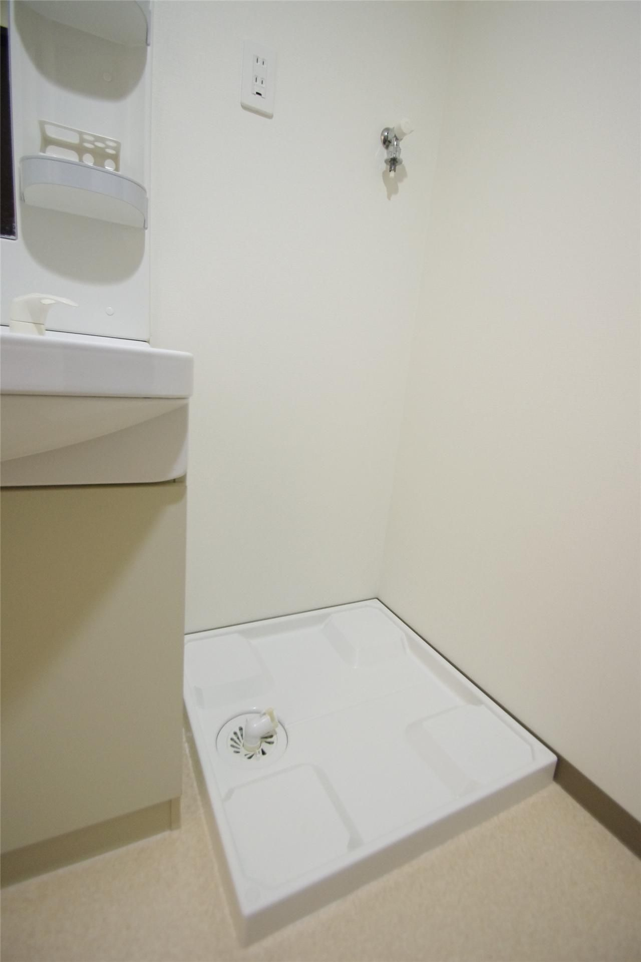 カーネリアン新屋敷の洗面所