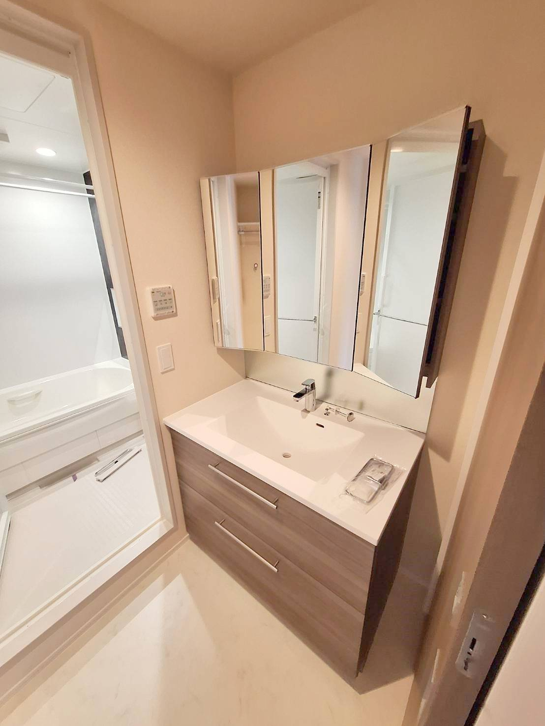 辻堂元町メゾンフォーサイトの洗面所