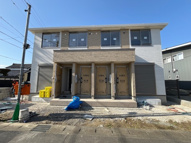 カトレアの画像