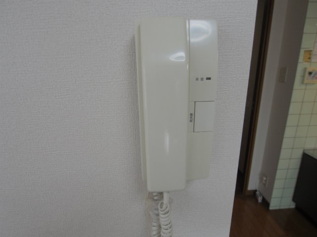 キャッスルバレーのセキュリティ