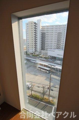 【展望】 | 森の雫