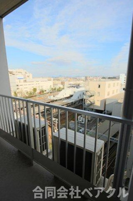 【展望】 | 森の雫