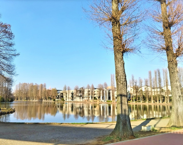 さいたま市営 別所沼公園まで550ｍ