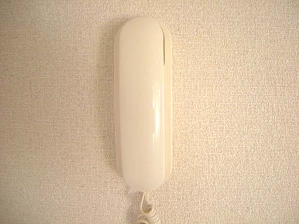 ピアチェーレのセキュリティ