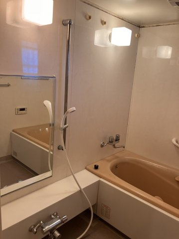 ６４９８０　ファミール長良ヶ丘の浴室