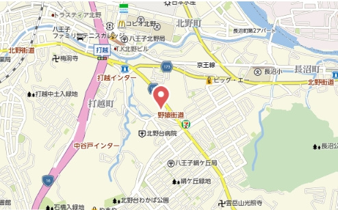 祝　成約済み　ダイアパレス八王子北野　八王子市　中古マンションの地図|～仲介手数料無料☆八王子ひなた不動産～ダイアパレス八王子北野