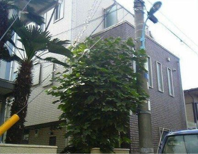 【外観】 | パティオ