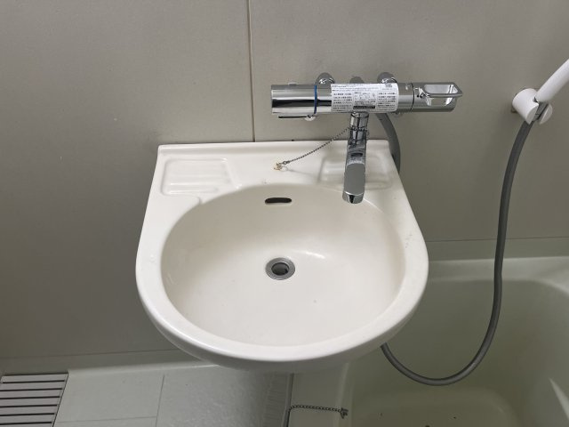 ハイツ緑苑の洗面所