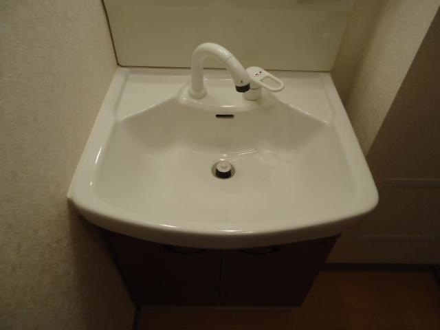 シティルミナスⅦの洗面所