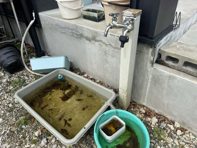 舞木町貸店舗のその他