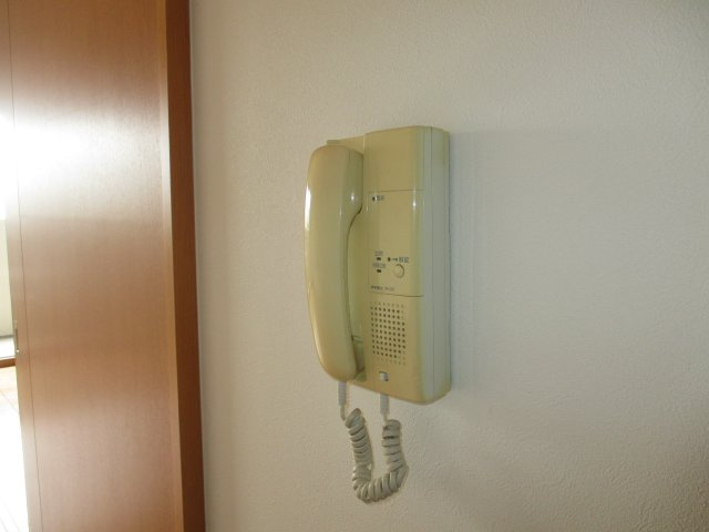 ラ・ミノールのセキュリティ