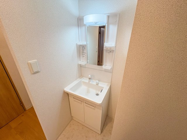 ソリティア桃谷の洗面所