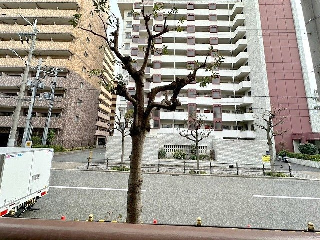 シャトー中尾の展望