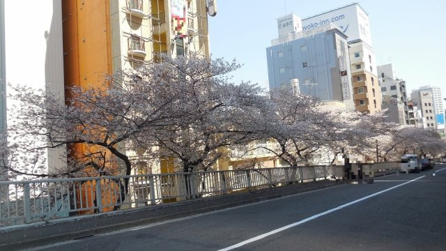 パークアクシス大塚の周辺