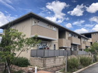 ハピネスの画像