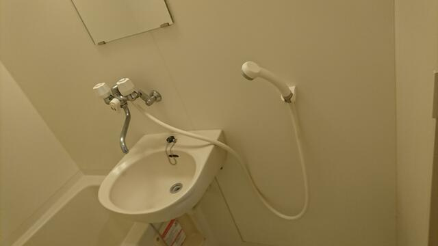 アーバニティハイムⅢの洗面所