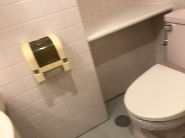大宮あづまビルのトイレ