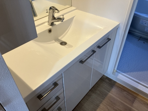 熊本市中央区新町１丁目の賃貸マンションの独立洗面台