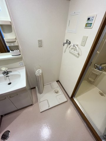 ピアコートBの洗面所