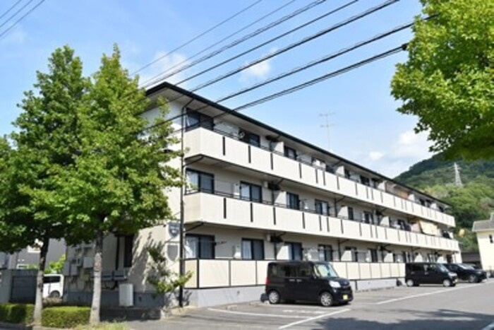 コウジィーコート前川