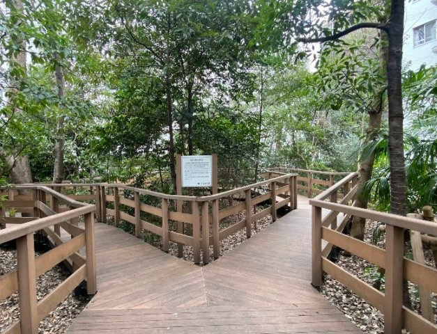 ローブのその他|周辺環境　千石緑地まで864m　徒歩11分