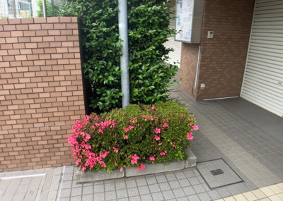 【庭】 | グレイス相模大野 | 物件によっては、入居者が個人的に使用できる専用庭がついているものもあります。また、住宅の中にある土間の部分を庭と呼ぶこともあります。庭の用途は住む人によって変わり、それによってデザインもさまざまです。