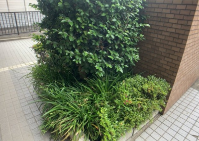 【中庭】 | グレイス相模大野 | 中庭（パティオ）とは、一つの建築物の内部に設けられた、壁などで囲われている庭のことを指します。コの字型、ロの字型が主流ですが、L字型の中庭もあります。最近では、インテリア性の高さからも人気があります。