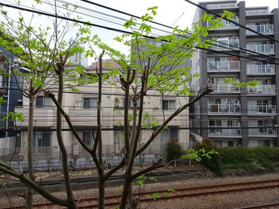 【展望】 | スノハラビル