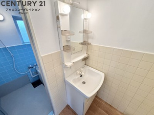 アメニティ収納棚ありの独立洗面台です